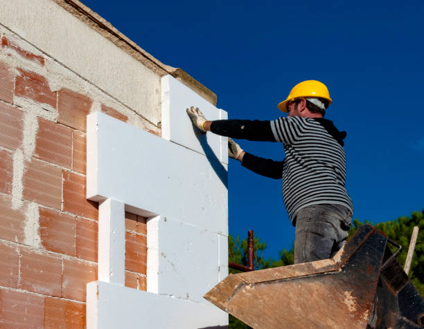 Best Geographic-Specific Insulation Services in Charles City, IA