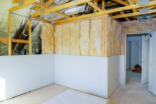 Best Eco-Friendly Insulation in Charles City, IA