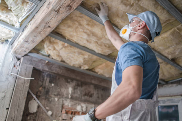 Best Cellulose Insulation in Charles City, IA